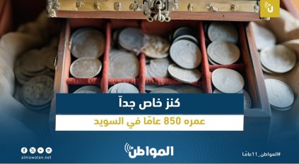 كنز خاص جدًا عمره 850 عامًا في السويد