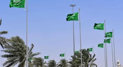 ماذا يعني فوز السعودية بعضوية المجلس الاقتصادي والاجتماعي ECOSOC؟