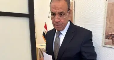 9 معلومات عن بدر عبدالعاطي وزير الخارجية الجديد في مصر