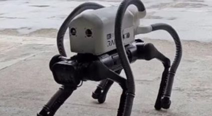 روبوت يشبه الكلب يجمع السجائر والنفايات