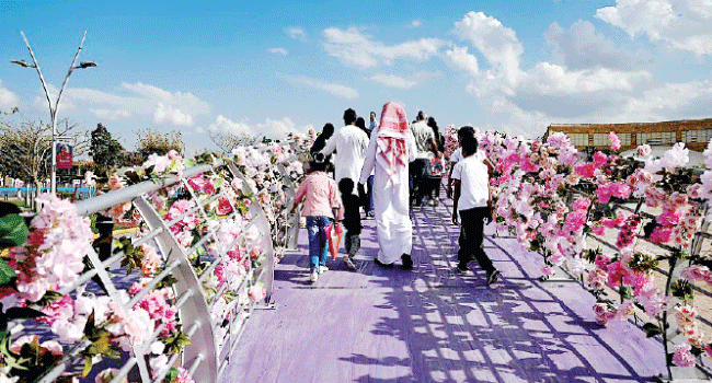 الطائف مصيف الملوك ووجهة الباحثين عن التميز والهدوء والأجواء الممطرة