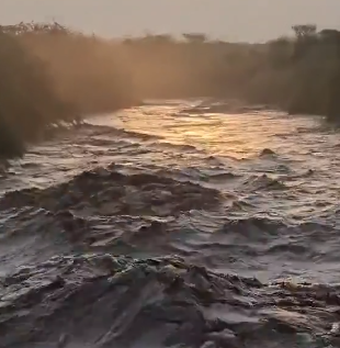 سيول جارفة في وادي خلب بجازان