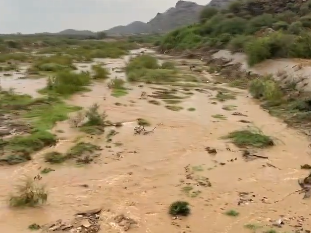 لقطات لجريان السيول في وادي مشرف بجازان