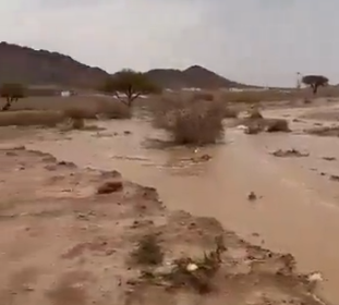 جريان سيل شعيب المناعية شمال شرق المدينة المنورة