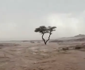 لقطات لهطول الأمطار وجريان السيول جنوب غرب حائل