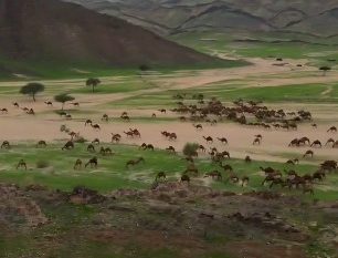 مظاهر بديعة بمنطقة مكة المكرمة بعد هطول الأمطار