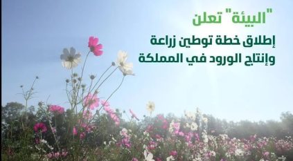 توطين زراعة وإنتاج الورد في السعودية 