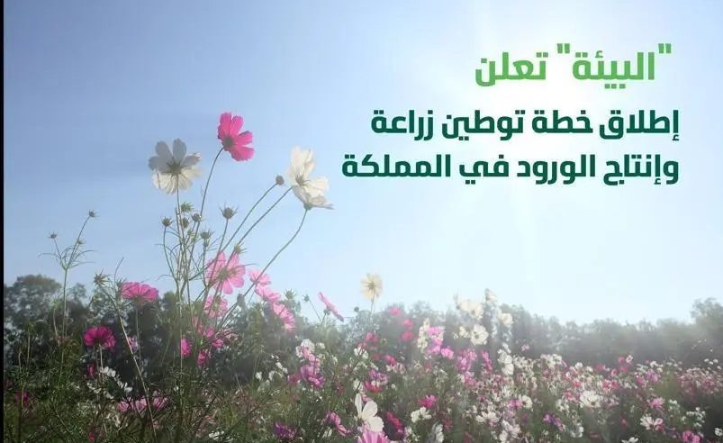 توطين زراعة وإنتاج الورد في السعودية 