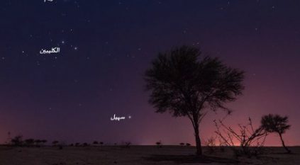 سبب شروق نجم سهيل من جنوبي الجزيرة العربية اليوم