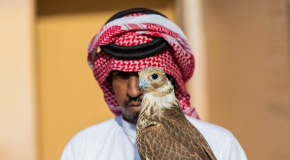 الصقر بطاش يفوز بالمركز الأول في شوط حر فرخ بسباق الملواح