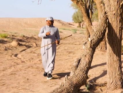 الزعاق: في منتصف أكتوبر يبدأ الوسم.. الأجواء الألطف في السنة