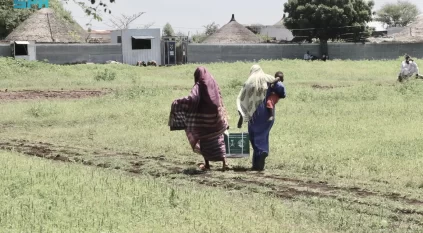 مركز الملك سلمان للإغاثة يوزع 1.500 سلة غذائية في القضارف السودانية