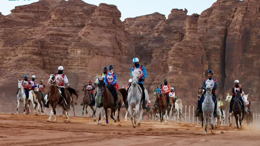 العُلا تستضيف كأس الاتحاد السعودي للفروسية للقدرة والتحمل