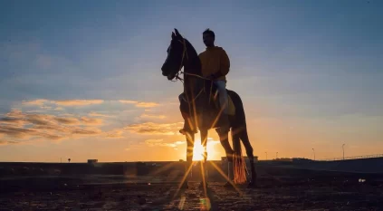 ركوب الخيل وتزيينها هواية رياضية تستهوي الشباب في رفحاء