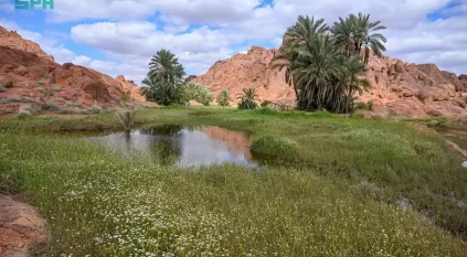 لوحات فنية لأجواء حائل الماطرة