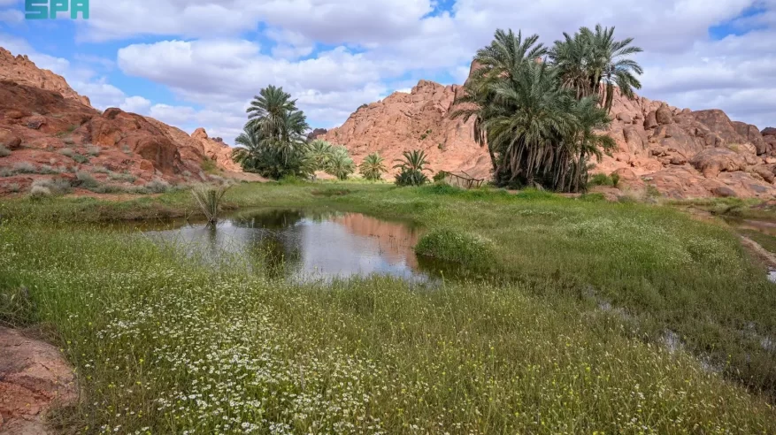 لوحات فنية لأجواء حائل الماطرة