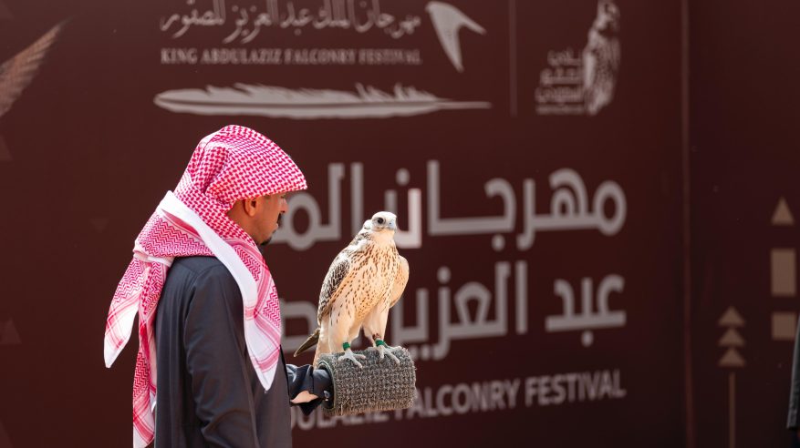 المحترفون يتنافسون في 6 أشواط بثاني أيام مهرجان الصقور 