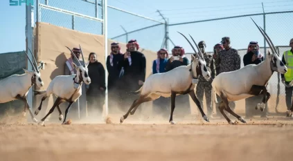 الحياة الفطرية تطلق 66 كائنًا فطريًّا مهددًا بالانقراض