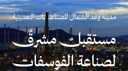 مشروعات استثمارية بـ 29 مليار ريال في مدينة وعد الشمال للصناعات التعدينية