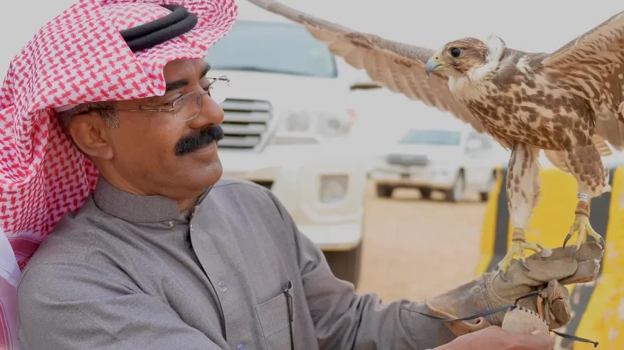 مهرجان الصقور بالقصيم يشهد إقبالًا واسعًا ويجمع عشاق الصقارة