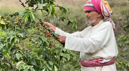 رجال ألمع نافذة اقتصادية عززت مكانتها السياحية في عسير