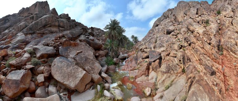 رسميًا.. انضمام “شمال الرياض جيوبارك” و”سلمى جيوبارك” إلى شبكة اليونسكو
