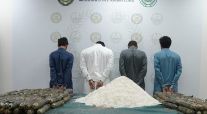 مخبأة في شحنة رخام .. إحباب تهريب 147 كيلوجرامًا من الميثامفيتامين المخدر 