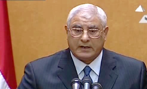 الرئاسة المصرية : لم يتم تكليف البرادعي والمشاورات مازالت جارية