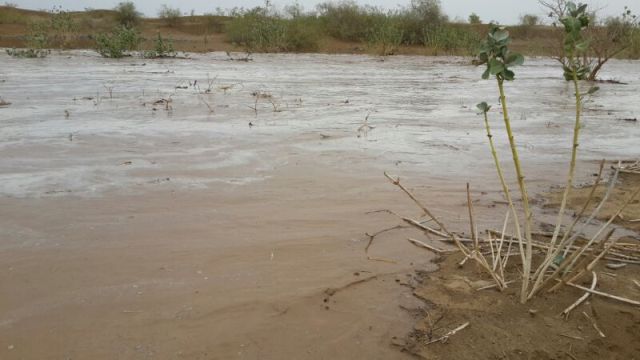 بالصور .. أمطار “الصوالحة” تتسبب في جريان وادي “شفقة”