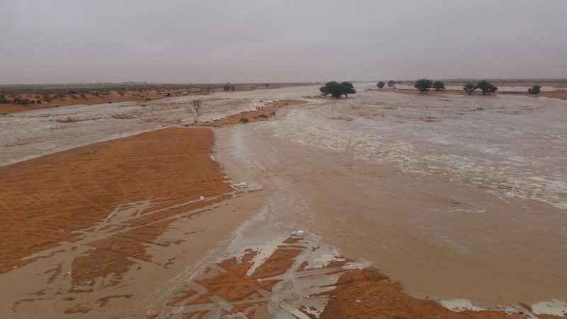 شاهد .. سيل وادي رماح وغيلانه شمال شرق الرياض