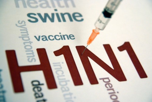 مصادر “المواطن” تكشف حقيقة وجود أنفلونزا خنازير في جدة