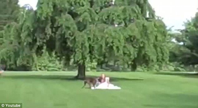 بالصور.. كلب يسقط عروساً أرضاً وسط ضحكات المدعوين