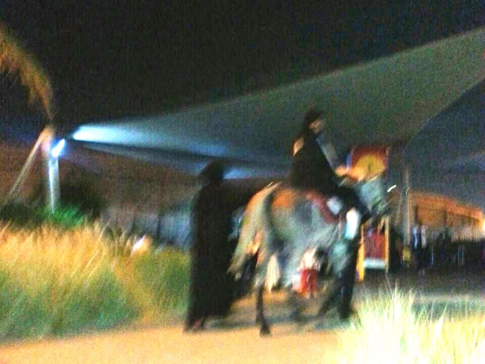 حصان جامح وراء “تحرُّش الكورنيش” على ممرات ضيقة في جدة !