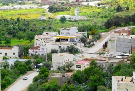 تقوم قوات الأمن التونسية بعمليات تمشيط في مدينة صنهاجة التابعة لمحافظة منوبة شمال العاصمة تونس بحثًا عن مسلحين اثنين لاذا بالفرار .