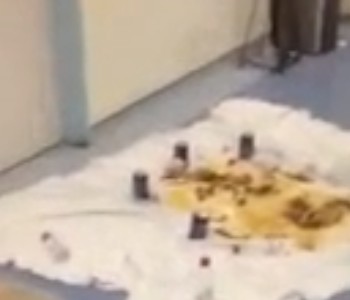 بالفيديو.. تناول وجبة السحور أمام عيادة العيون بمستشفى الباحة