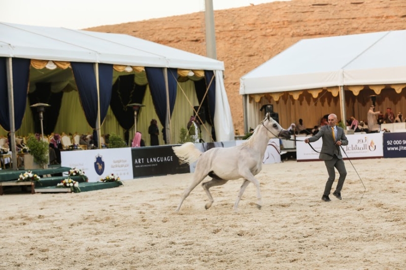 بطولة جمال الخيل العربي ‫(86019265)‬ ‫‬