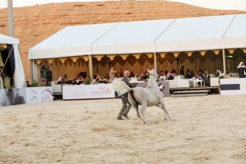 بطولة جمال الخيل العربي ‫(86019266)‬ ‫‬