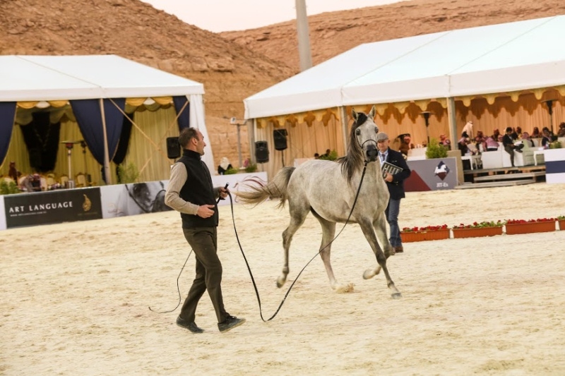 بطولة جمال الخيل العربي ‫(86019274)‬ ‫‬