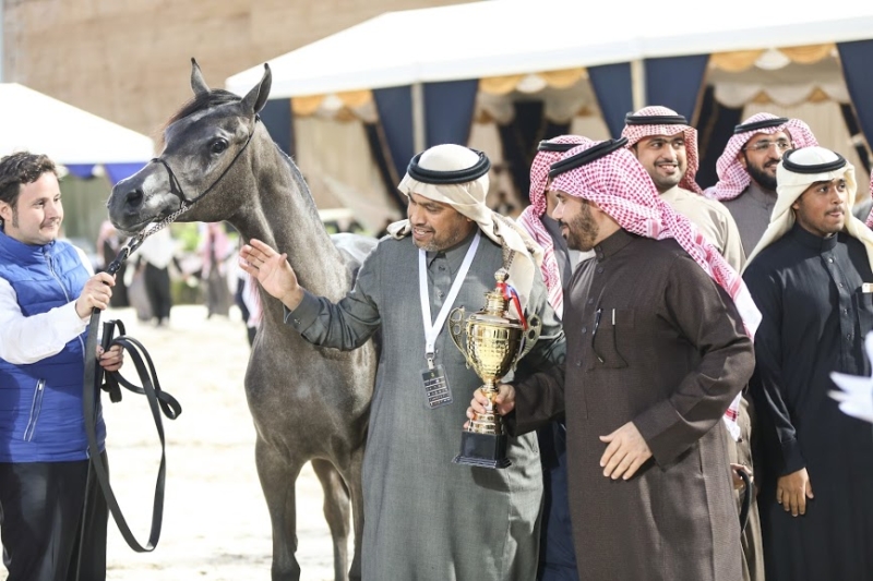 بطولة جمال الخيل العربي ‫(86019276)‬ ‫‬