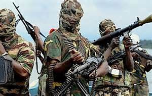 ضربة قوية من الجيش النيجيري لبوكو حرام