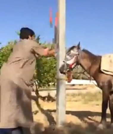 بالفيديو.. شاب يضرب حصاناً بوحشية على رأسه