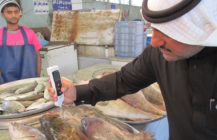 مصادرة 227 كيلو جراماً من الأسماك الفاسدة ببلدية القطيف