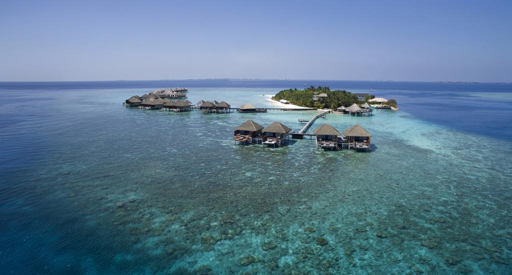 المالديف تكشف حقيقة بيع جزيرة “فاقو” للسعودية