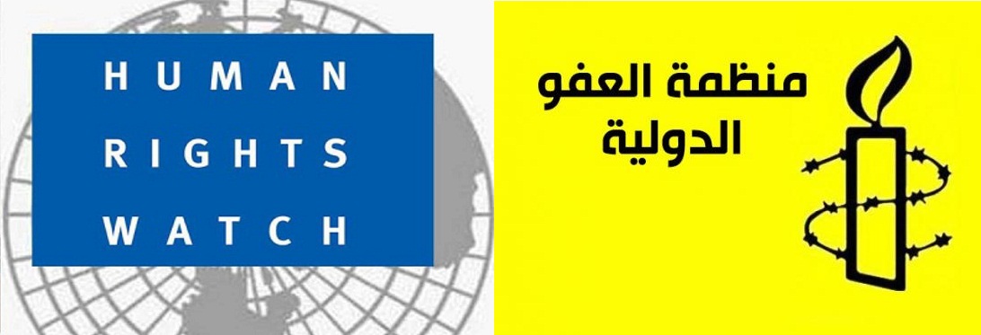 “المواطن” تنبش خبايا “هيومن رايتس” و”العفو الدولية”.. علاقات مشبوهة وأكاذيب متعمدة!