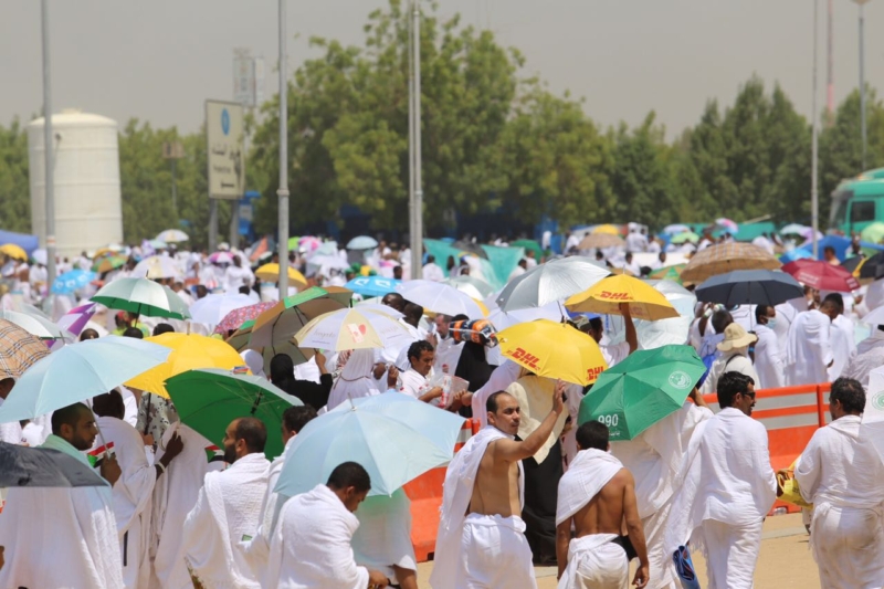 وقوف الحجاج في عرفة ‫(85600830)‬ ‫‬